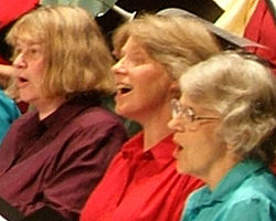 [promsalt5_250x199.jpg]