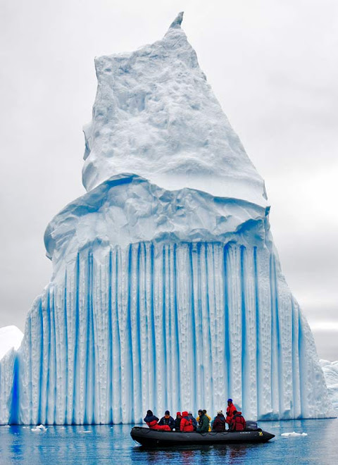 Real icebergs from Alaska!