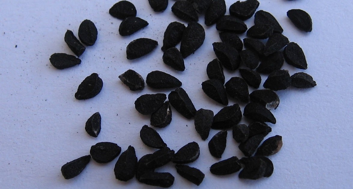 Эти легкие похожи на мой черный. Калинджи Чернушка посевная. Семена калинджи Чернушка. Нигелла черный тмин семена. Черный тмин смена узбекиский.