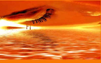 [olhar+sob+o+mar.jpg]