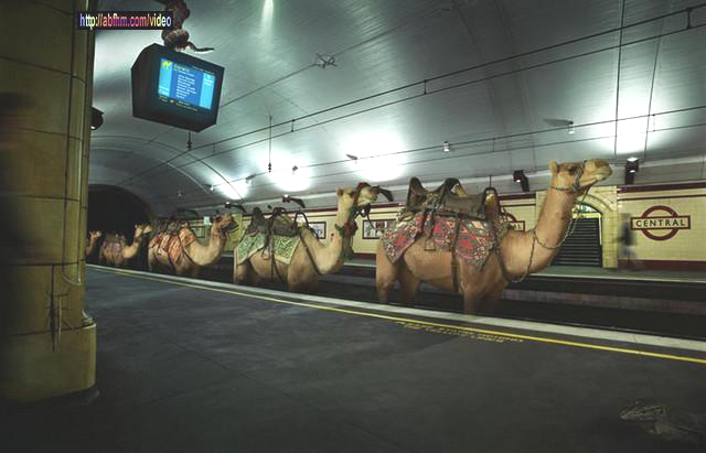 [Metro_Sul_Do_Tejo.jpg]