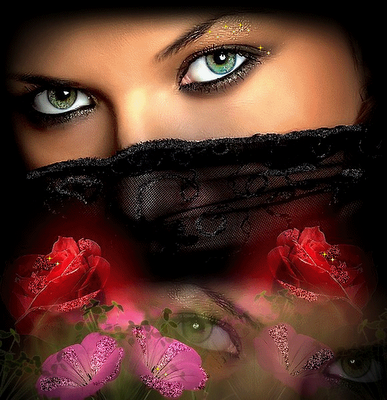 [1078252511jp6[1].png]