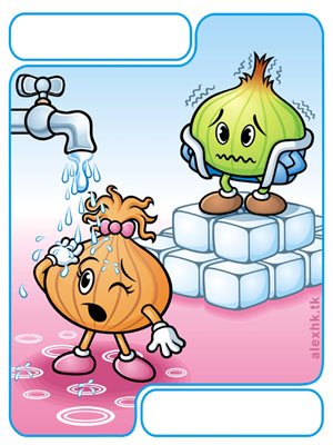 [cebolas_onions.jpg]