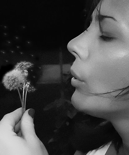 [2163919565_f979b827a5.jpg]