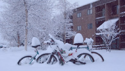 Image of snow-covered bikes in Alaska