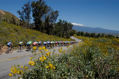 Image of racers at the Redlands Bicycle Classic