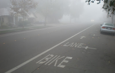 Image of bike lane on a foggy morning in Davis, California