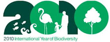 2010 Año Internacional de la Biodiversidad