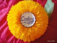 Logo Cristina Barbosa