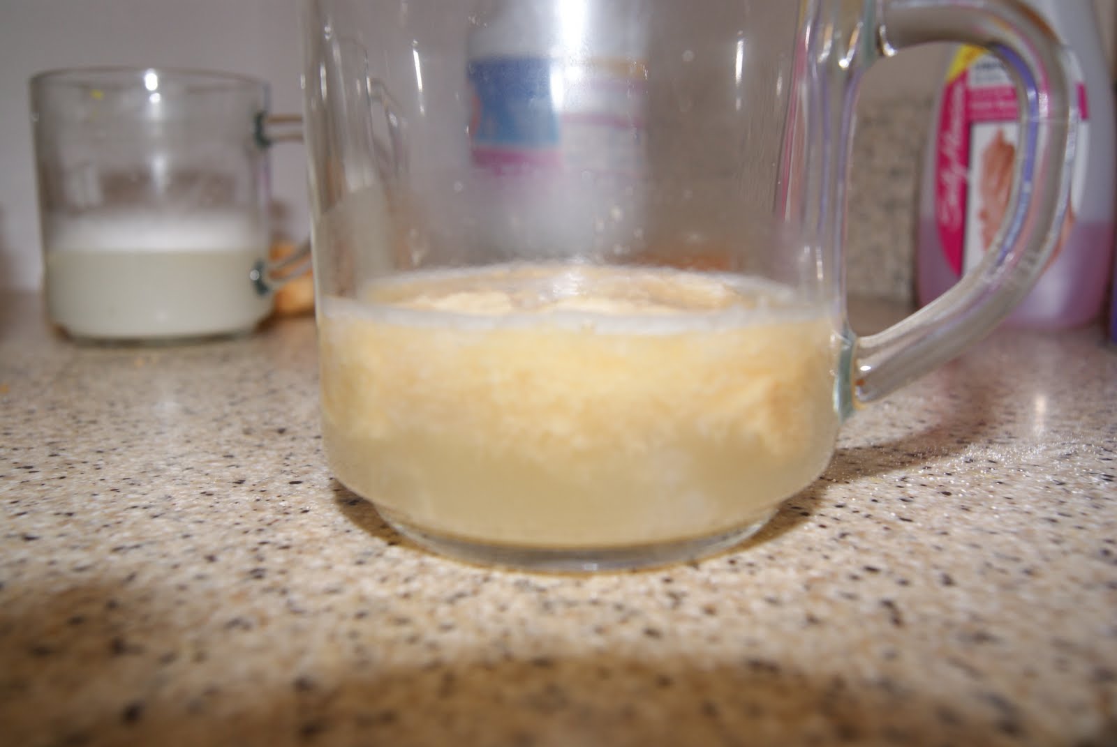 Chemistry The Chemical and Physical Properties of Bread