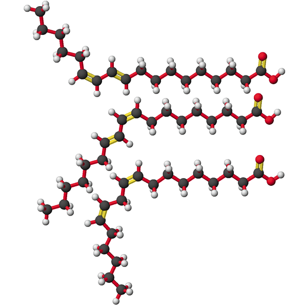 Health, Nutrition & Beauty Omega6 conjugated linoleic acid (CLA