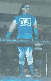 [180px-Nova_at_hs_east_feb_1998.JPG]