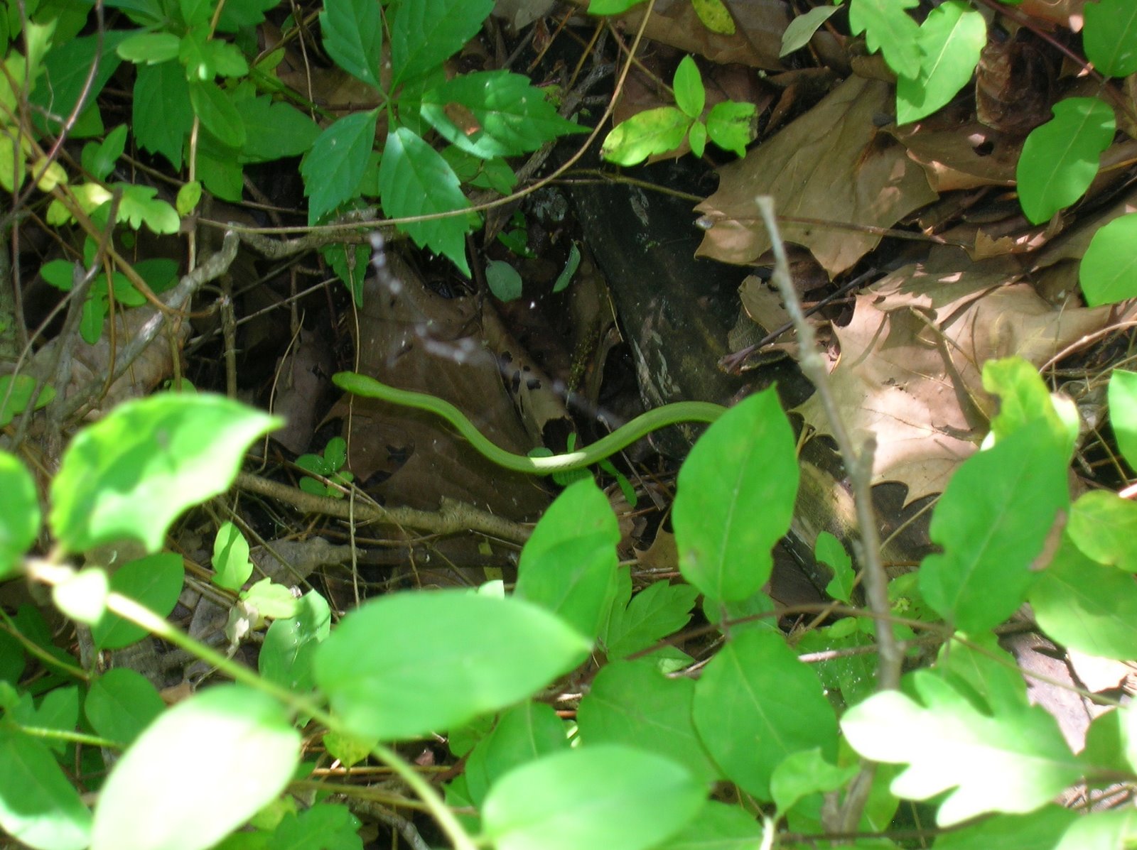 [Mother's+Day+2009+134.jpg]