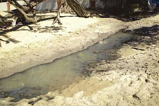 Wastewater on La Ropa Beach between La Perla Restaurant and Las Urracas Bungalows