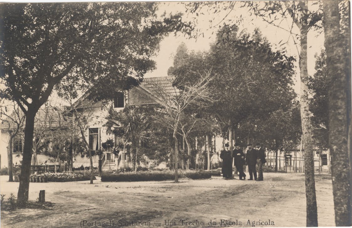 [Um+trecho+da+Escola+Agrícola.bmp]