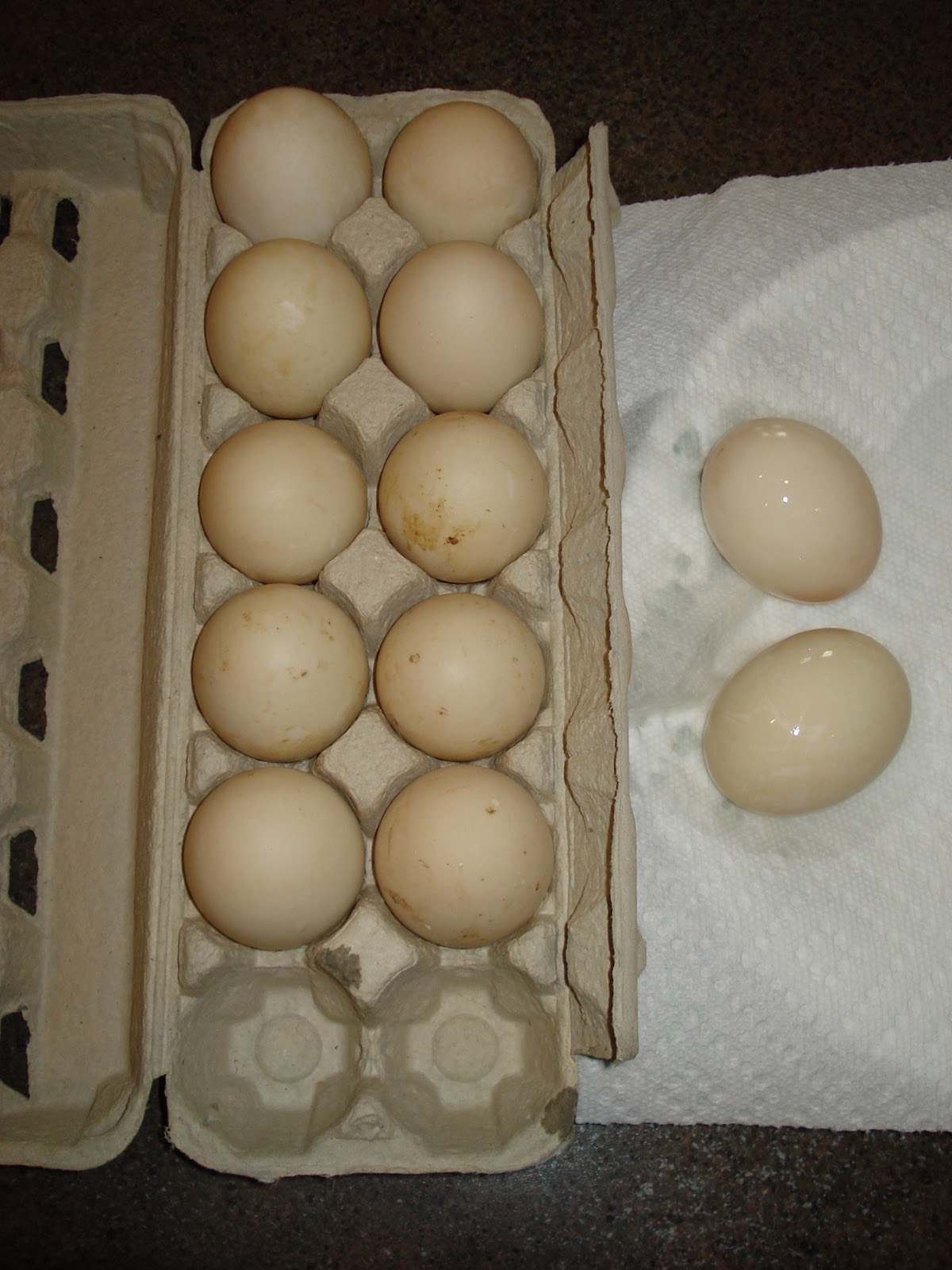 Just JoeP Delicious Dirty Duck Eggs