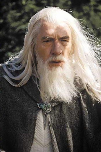 [gandalf.jpg]