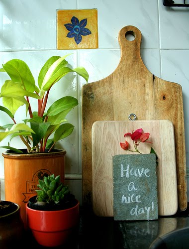 [1753121542_d7a70935b2.jpg]