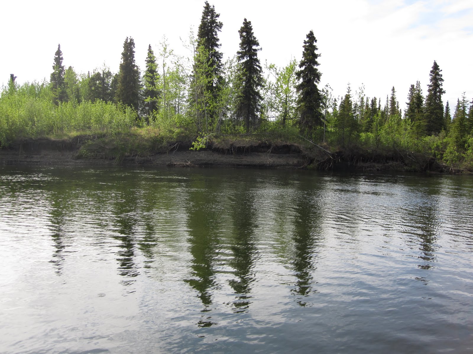 Way Up in Alaska Oh What Do We Do In The Summer Time... (In Unalakleet