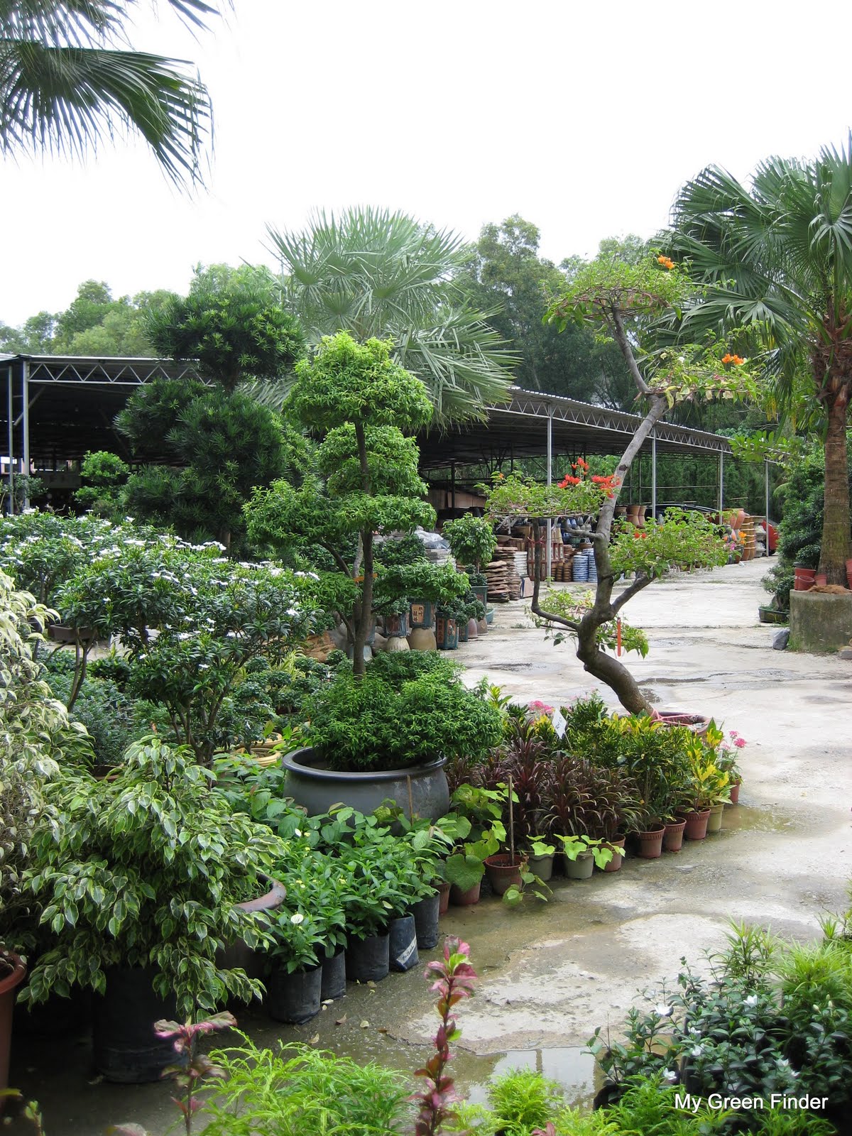 landscapers near me on Landscape Nursery Near Me Landscape Ideas