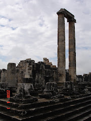 Ναός Διδυμαίου Απόλλωνα-Σήμερα