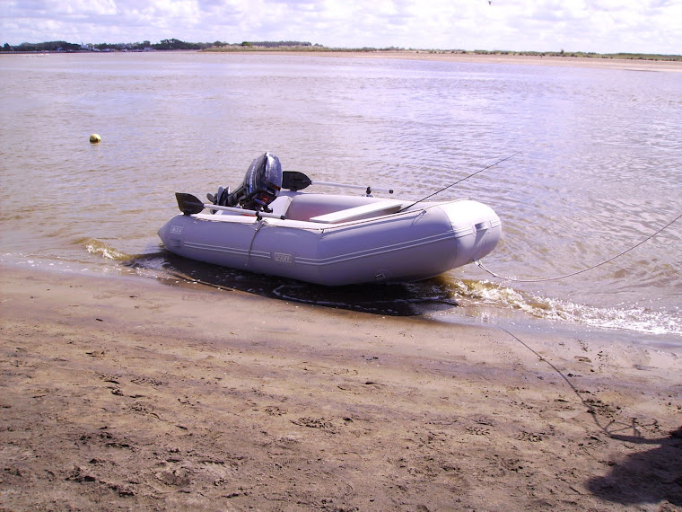 290FR