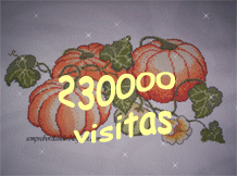 230.000 Visitas