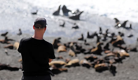 Orca Season in Punta Norte Peninsula Valdes Patagonia Argentina