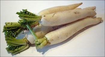 Losing Sleep: BAHAY KUBO EDUCATION