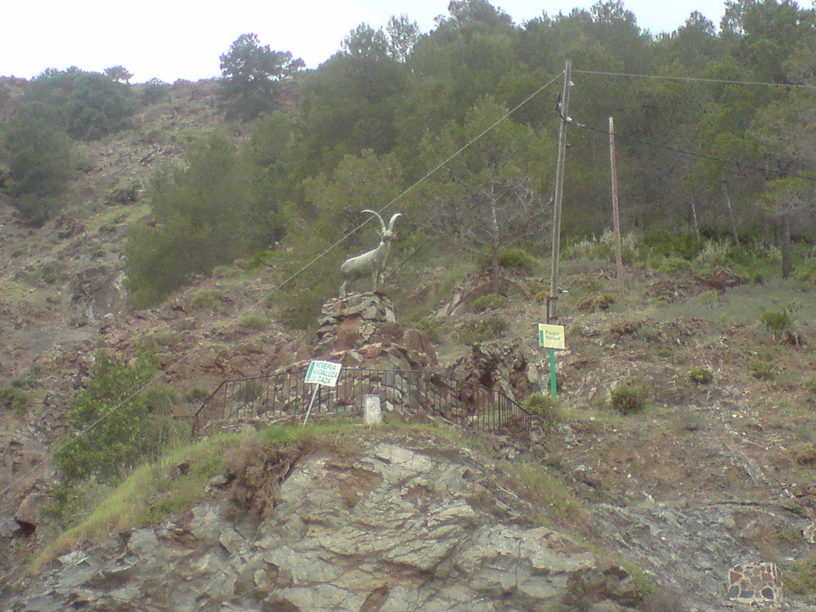 [P180309_09.49.JPG]