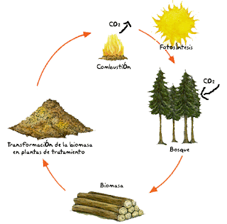reciclaje biomasa forestal