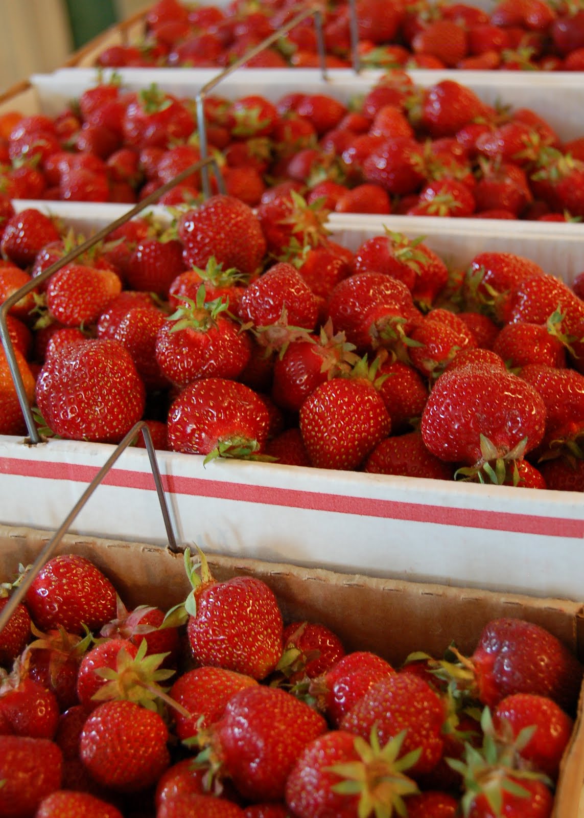 Columbus Multiple Moms Strawberry picking time!