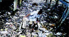 A young boy showing the extend of  rubbish at Hanuabada Village, Port Moresby