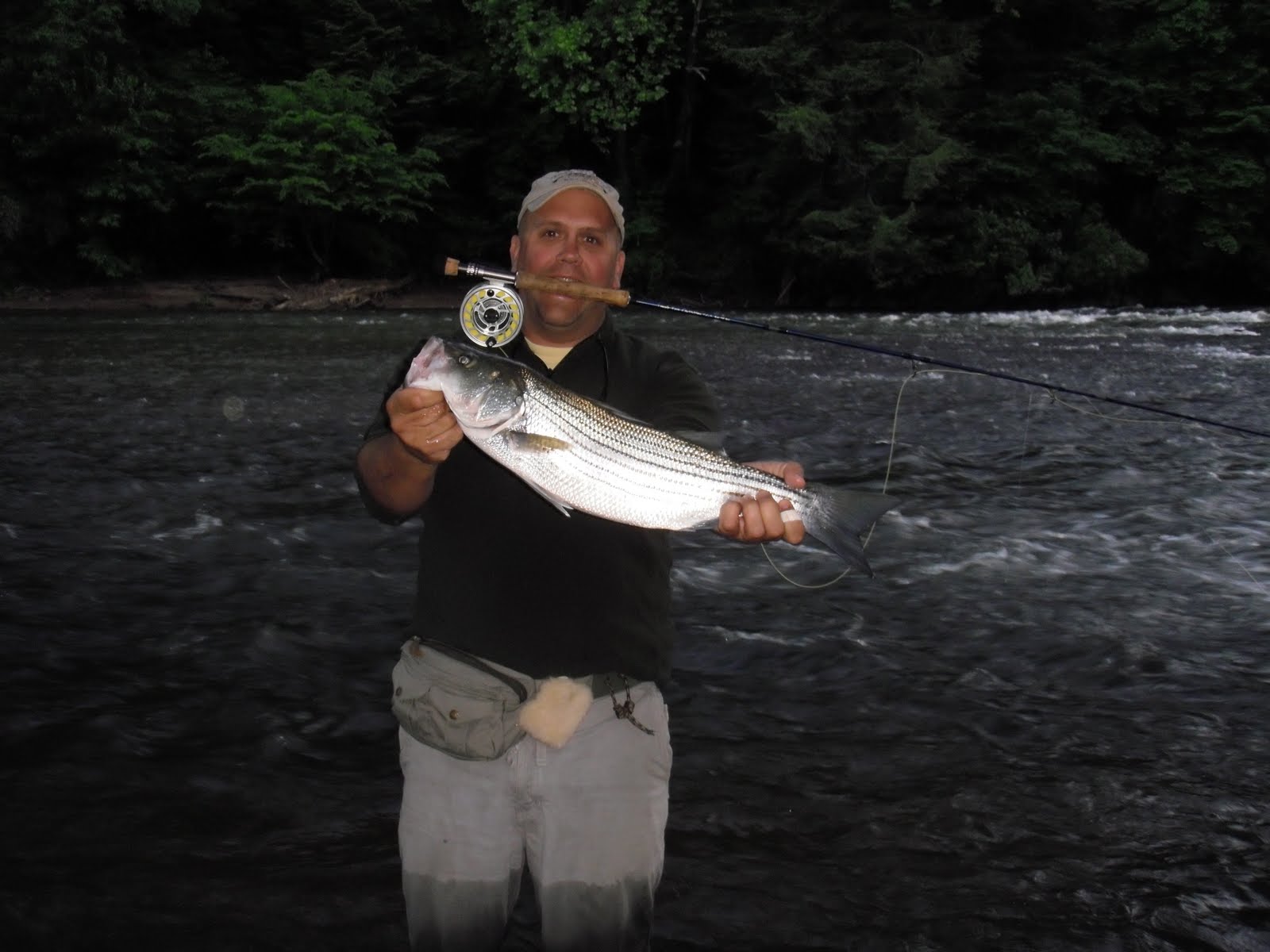 Fly Fish North Tritt's Outfitters Dahlonega, GA