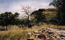 'On the way out of Emma Gorge, near El Questro Stn'