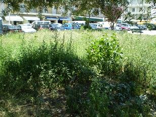 [02-02+24.06.2008+III.JPG]