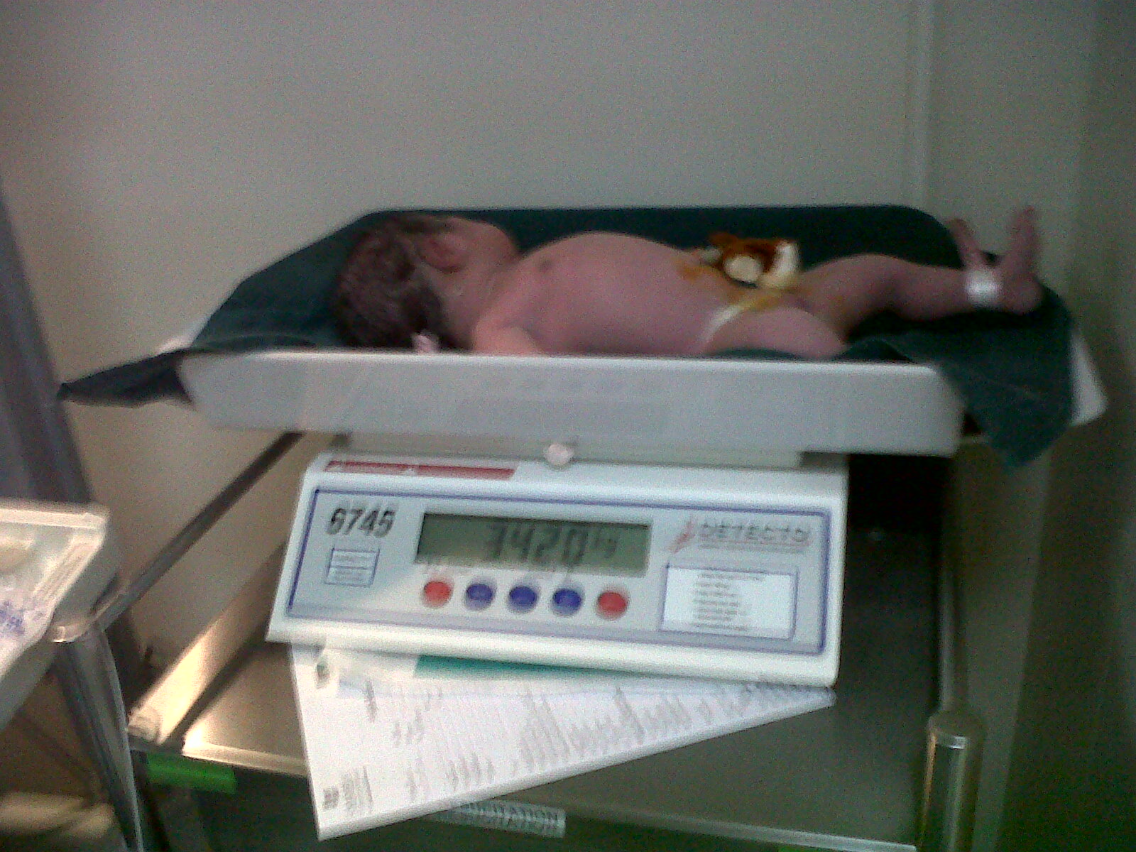 [IMG00013-20091212-0807.jpg]