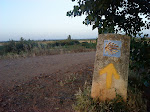 las flechas del camino