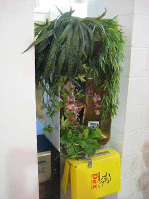 Former public phone box filled with plants. Yellow pages still hangs below.