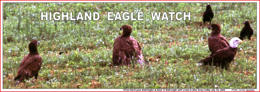 HIGHLAND EAGLE WATCH