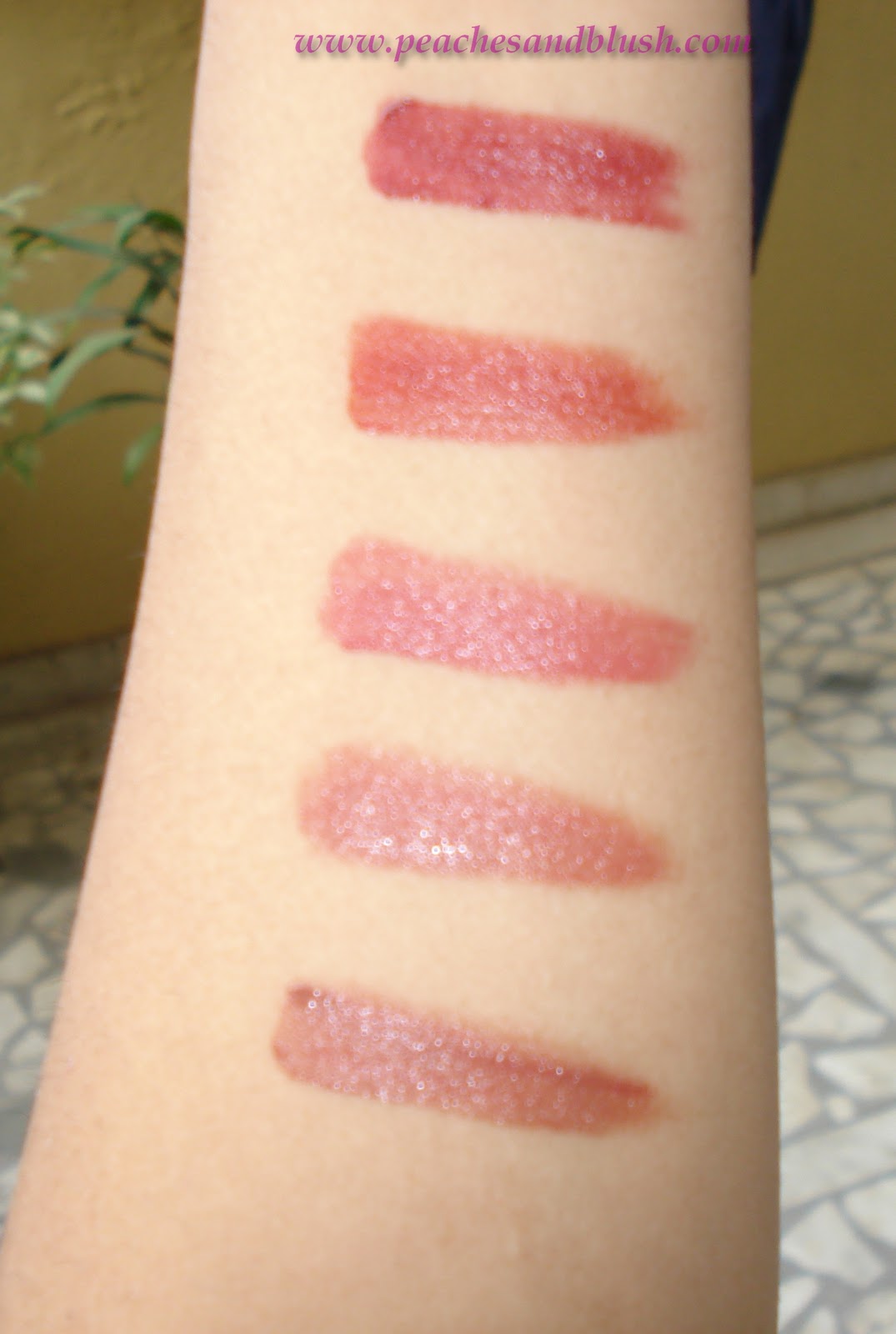 lakme lipstick palette