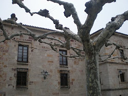 Parador de Condes de Alba y Aliste (plaza de Viriato)