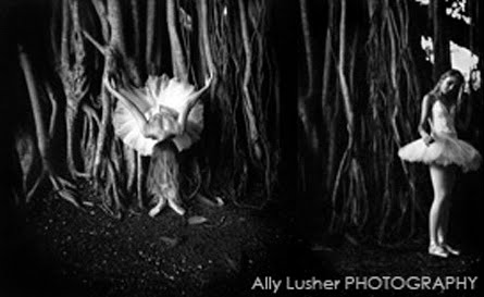 Ally Lusher Photography