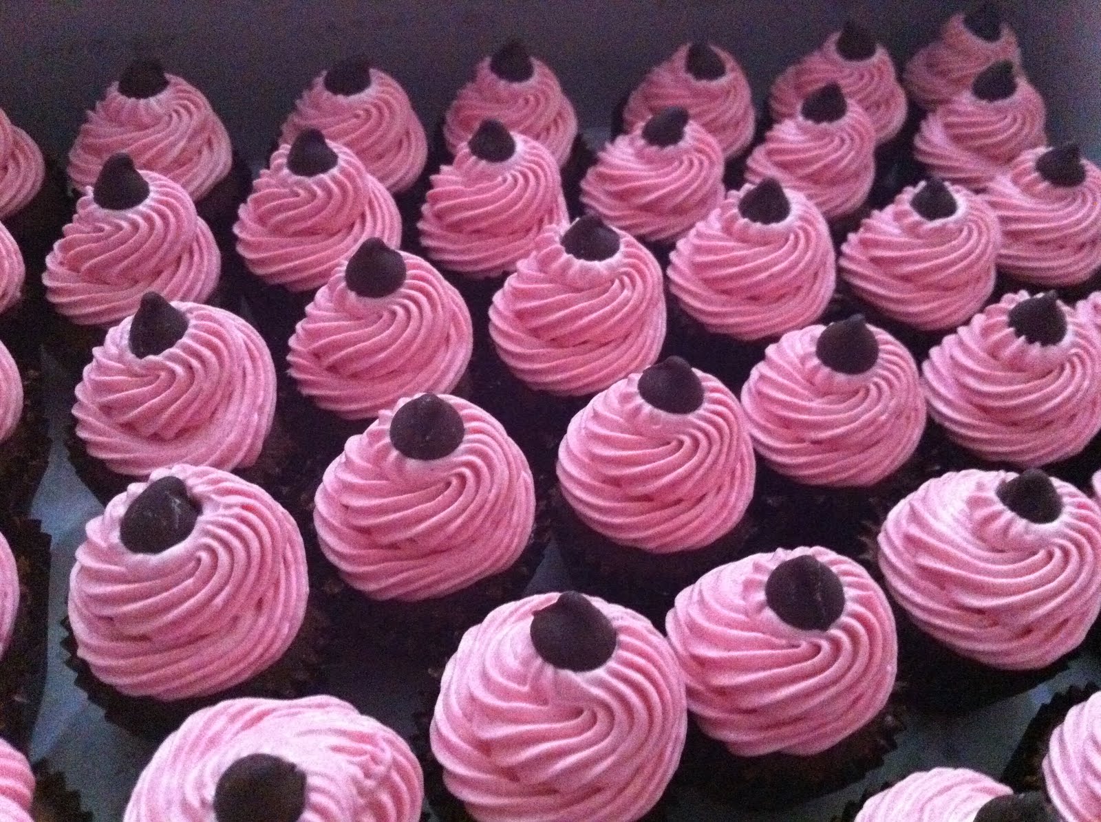 Cake in a Cup! New Yorkesque Pink Mini Cupcakes + DISCLAIMER