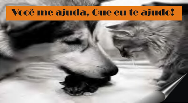 Voce me ajuda, Que eu te ajudo