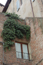 Alc.Iner. Puerta de Siena - Italia