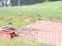 new fencing along north west and south sides of plot
