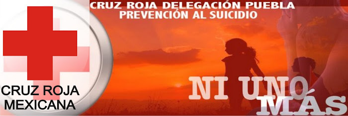 NI UNO MÁS - Cruz Roja Delegación Puebla