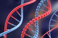 [DNA+genes.jpg]