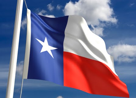 [texas+flag+flying.jpg]
